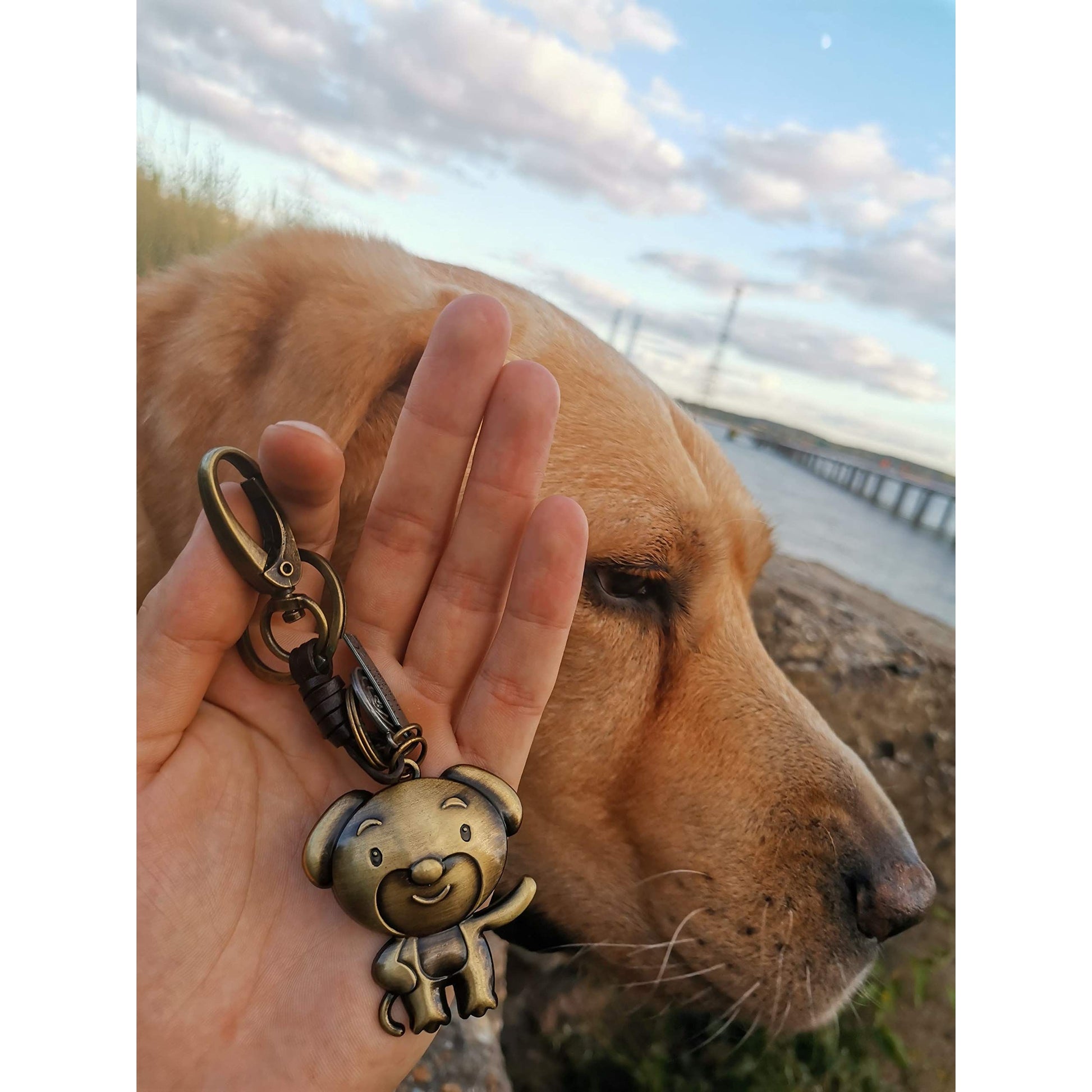 Zodiac Animal Keychain – Handmade Vintage Leather – Lucky Gift Keyring Collection-AuPra